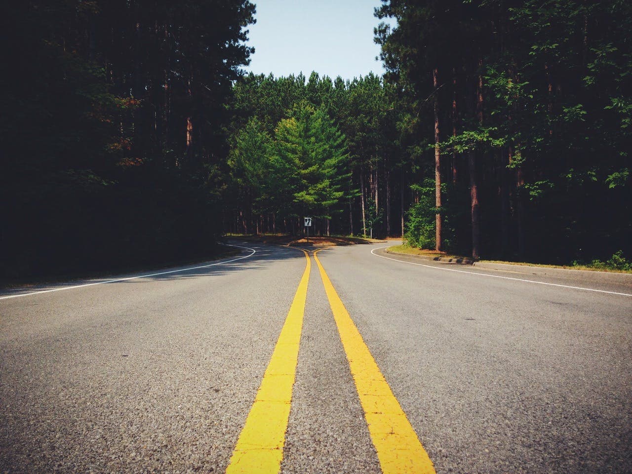 Road with yellow center lines extends into a forested area, branching off in multiple directions. Tall trees with dense foliage line both sides of the road.