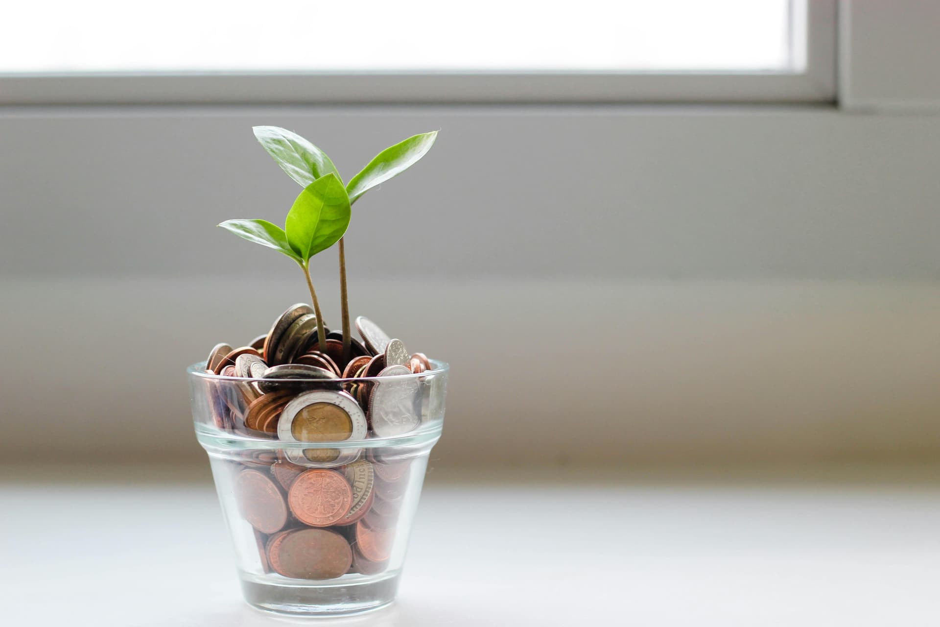glass vase filled with coins
