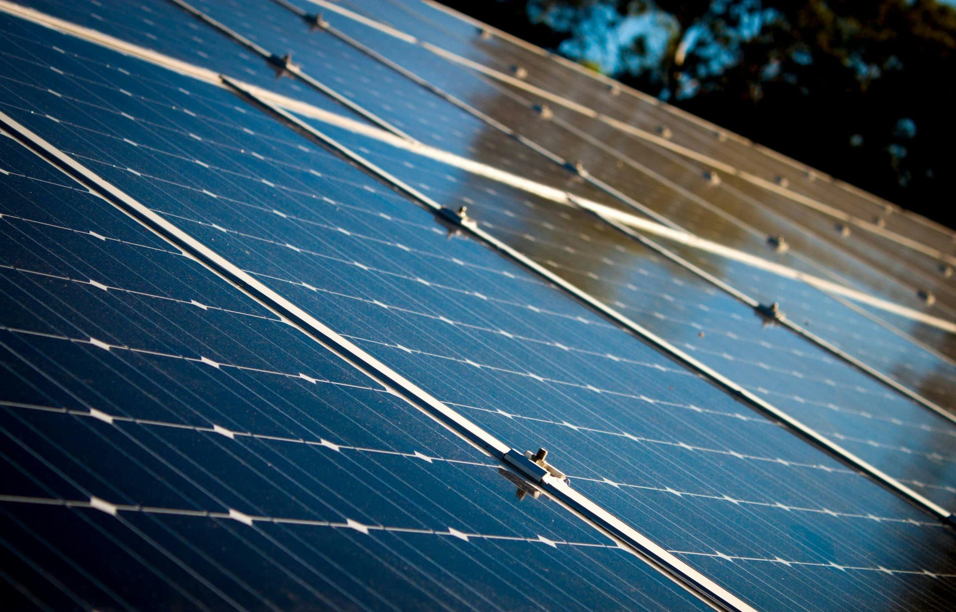 Rows of solar panels gleaming under sunlight, capturing energy, installed in an outdoor environment with trees in the background.