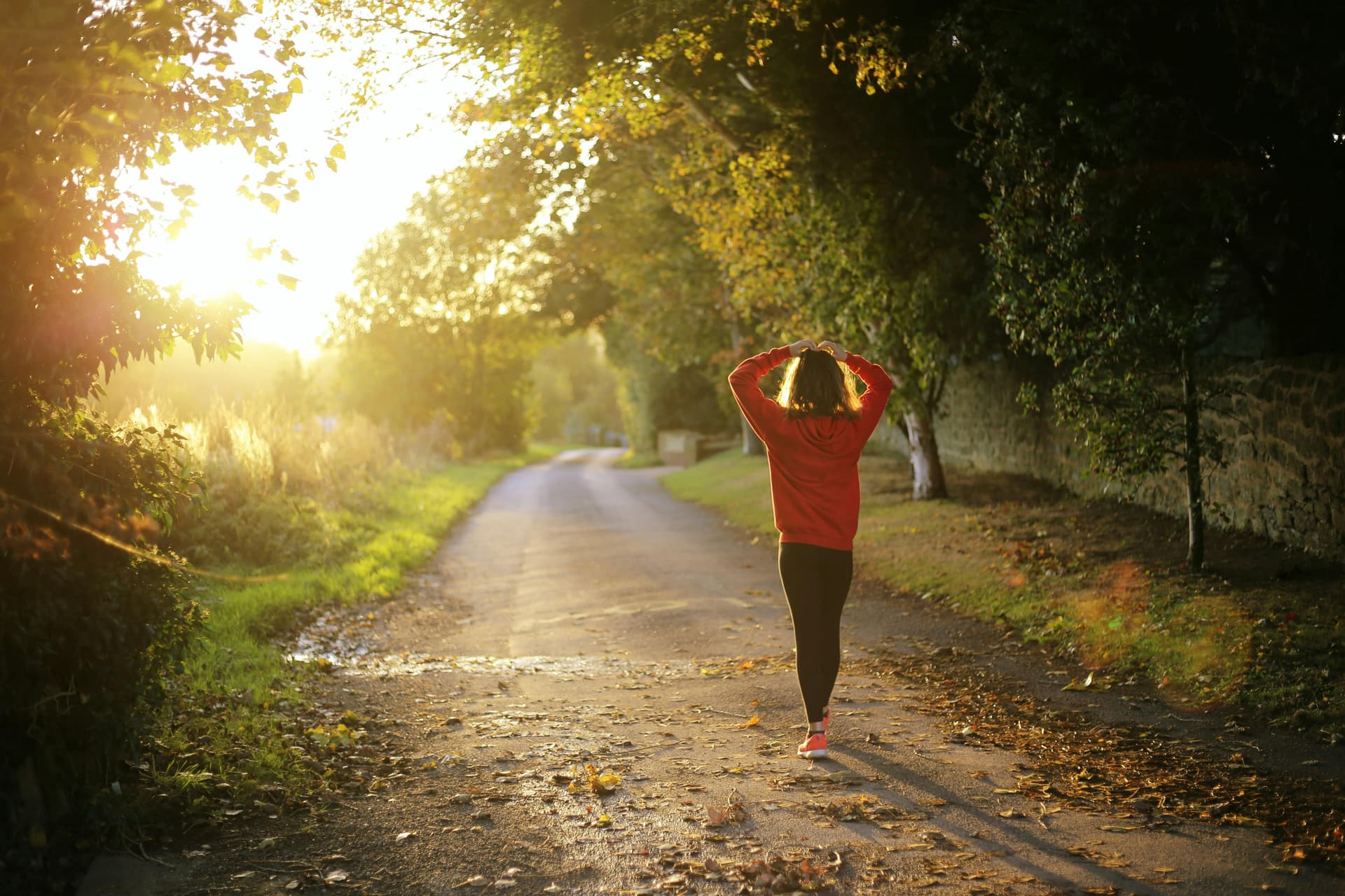 A person in a red sweatshirt is walking along a peaceful, sunlit path through a forested area, with trees on both sides casting shadows.