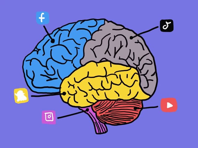 Cartoon brain with social media icons pointing to it.