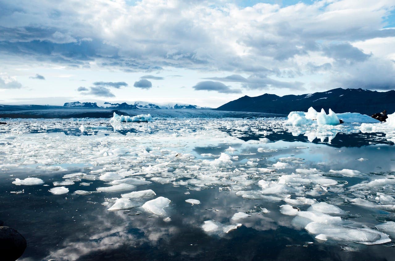 Icebergs scatter across a serene, reflective water surface under a cloudy sky with distant mountains visible on the horizon.