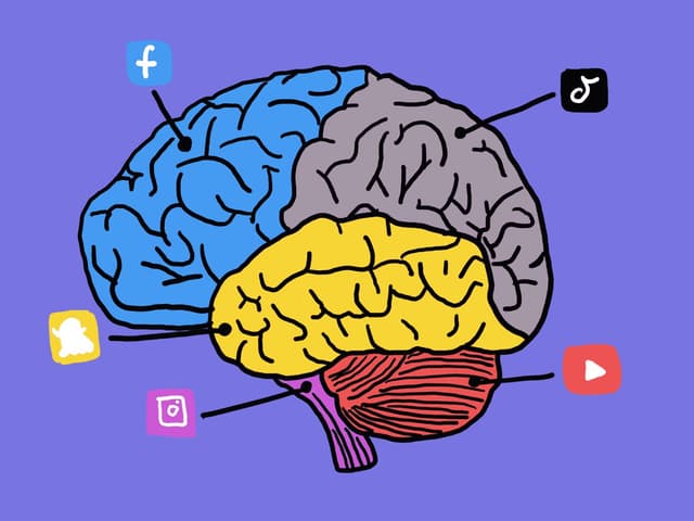 A colorful illustrated brain divided into sections, each connected to a social media icon: Facebook (blue), TikTok (gray), Snapchat (yellow), Instagram (pink), and YouTube (red), on a purple background.