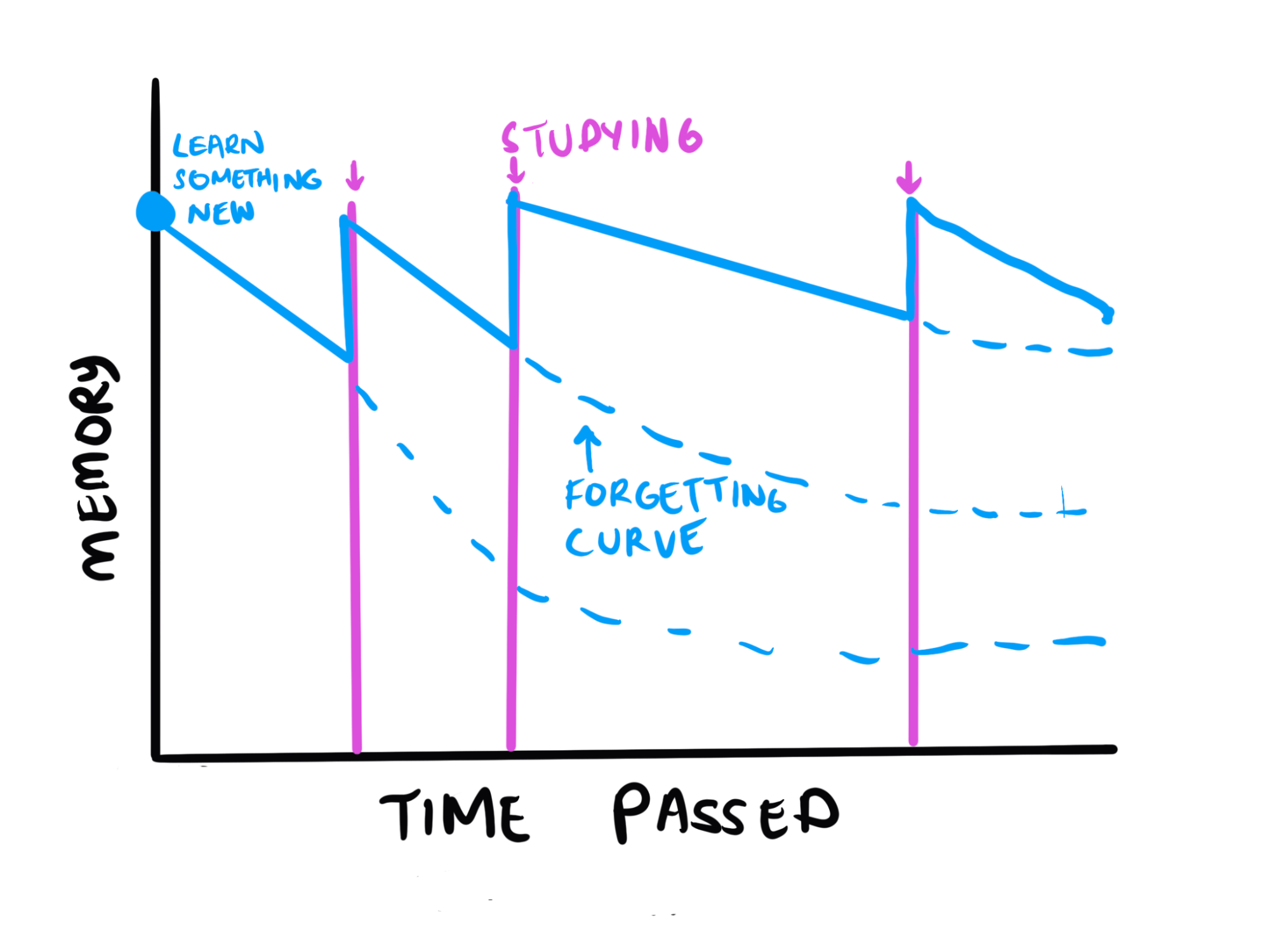 spacing effect